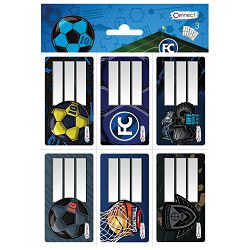 Etikete školske 6/1x3+raspored sati-dječaci Connect blister