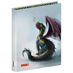 Mapa uložna 2ringa-fi20mm A4 karton Dragon Brunnen 10-65580 941
