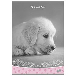 Teka meki uvez A4 čista 40+2L 80g Sweet pets Elisa