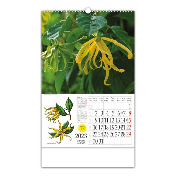 Kalendar "Ljekovito bilje" s rotacijskim krugom, spirala